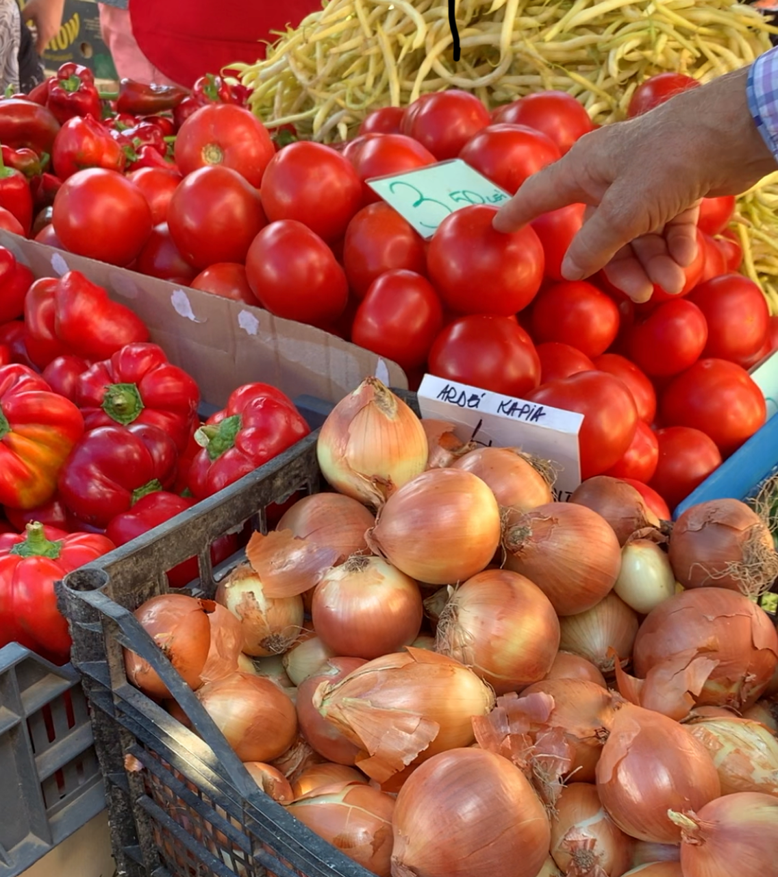 Piata Agroalimentara 16 Februarie