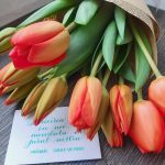 Povesti cu Flori Gabriela Ivan Sandu